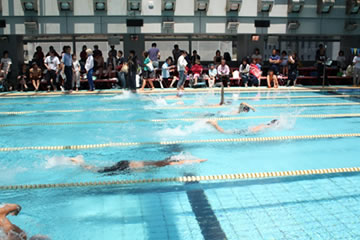 第56回神戸市障害者スポーツ大会（水泳競技）3